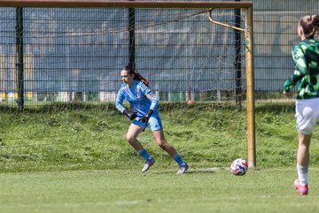 Bild 292 - wBJ Hamburger SV - VfL Wolfsburg : Ergebnis: 5:1